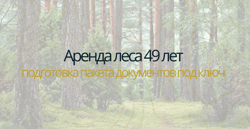 Аренда леса на 49 лет в Бокситогорске