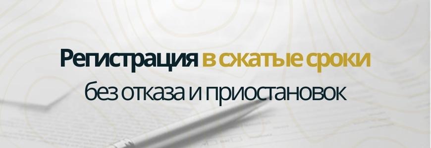 Регистрация в сжатые сроки под ключ в городе Пикалёво